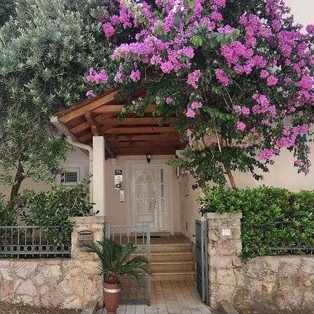 Apartments Maris Petrovac Ngoại thất bức ảnh
