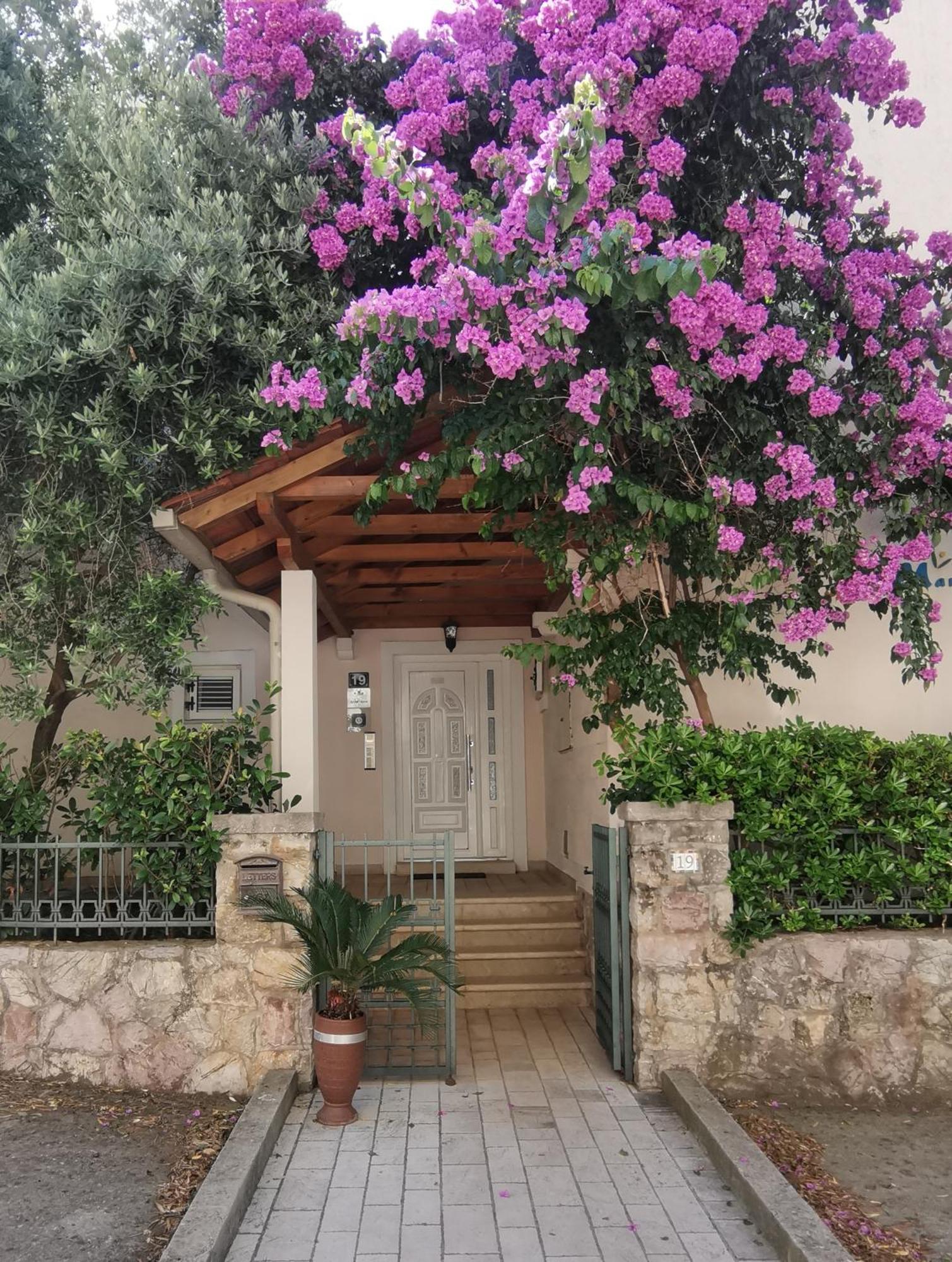 Apartments Maris Petrovac Ngoại thất bức ảnh