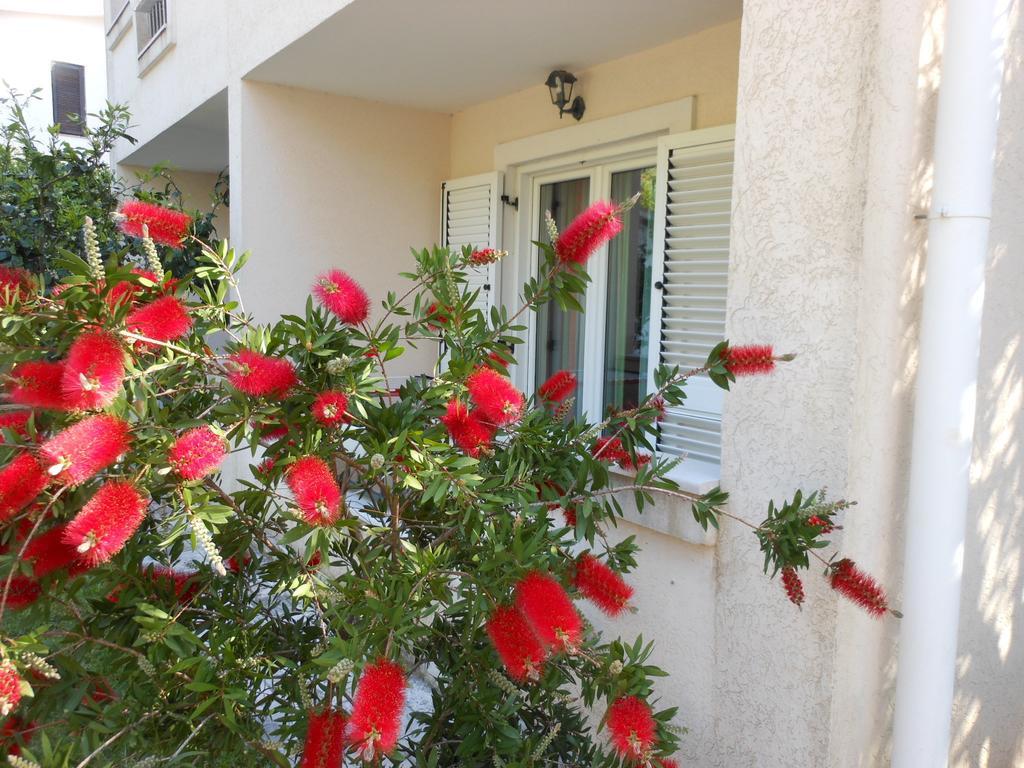 Apartments Maris Petrovac Phòng bức ảnh